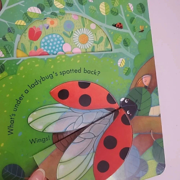 USBORNE Peek Inside the Garden Lift-A-Flap Board Book Illustrated Simona Dimitri - Picture 5 of 7